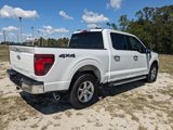 Used 2024 Ford F150 XLT w/ Equipment Group 302A MID image 4