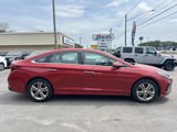 Used 2019 Hyundai Sonata SEL image 4