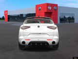 New 2025 Alfa Romeo Stelvio Tributo Italiano image 6