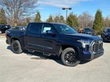 New 2025 Toyota Tundra Platinum image 2