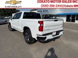 New 2025 Chevrolet Silverado 1500 RST image 5