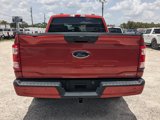 Used 2023 Ford F150 XL w/ STX Appearance Package image 5