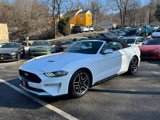 Used 2021 Ford Mustang Premium image 4