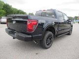 New 2025 Ford F150 XLT image 5