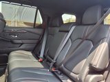 New 2026 Honda Passport TrailSport Elite image 5