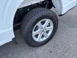 New 2025 Ford F150 XLT image 5