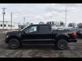 New 2025 Ford F150 Tremor image 4