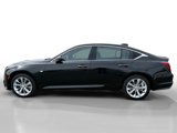 New 2025 Cadillac CT5 Premium Luxury w/ Technology Package image 2