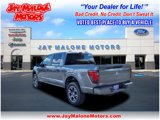 New 2025 Ford F150 STX image 3