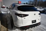 New 2025 Alfa Romeo Stelvio Sprint w/ Veloce Package image 5