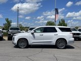 New 2025 Hyundai Palisade Calligraphy image 4