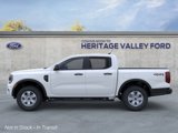 New 2025 Ford Ranger XL image 5