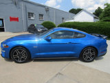 Used 2019 Ford Mustang GT w/ Equipment Group 301A image 5
