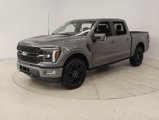 New 2025 Ford F150 Platinum w/ Equipment Group 702A High image 3