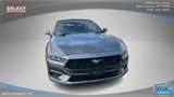 Used 2024 Ford Mustang Premium image 3
