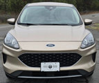 Used 2020 Ford Escape SE image 2