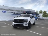 New 2025 Ford F150 Platinum image 2