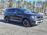 New 2025 Kia Telluride EX image 2