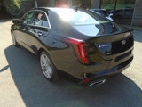 Used 2023 Cadillac CT4 Premium Luxury w/ Super Cruise 1 Package image 6