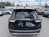 Used 2020 Ford Escape SEL image 4