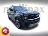 New 2025 Ford Expedition Platinum image 1