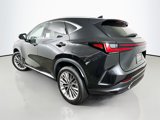 New 2026 Lexus NX 350 AWD w/ Luxury Package image 5