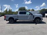 New 2025 Ford F250 Platinum image 3