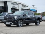 New 2025 GMC Sierra 1500 Denali Ultimate image 3