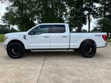 Used 2023 Ford F150 XLT w/ Equipment Group 301A Mid image 3