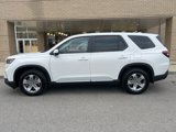 New 2025 Honda Pilot EX-L image 1