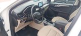 Used 2021 Ford Escape SEL image 5