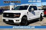 New 2025 Ford F150 XLT w/ Equipment Group 303A High image 2