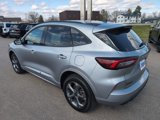 Used 2024 Ford Escape ST-Line image 4