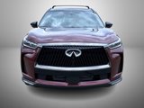 New 2026 INFINITI QX60 Autograph w/ Dark Cargo Package image 2