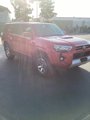 Used 2024 Toyota 4Runner TRD Off-Road Premium image 5