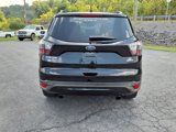 Used 2017 Ford Escape SE w/ SE Sport Appearance Package image 4
