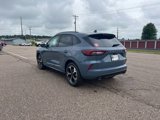 New 2025 Ford Escape ST-Line Elite w/ Premium Technology Package image 5
