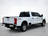 New 2025 Ford F250 XL image 3