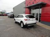 Used 2022 Ford Escape SE image 3