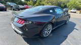 New 2024 Ford Mustang Premium image 3