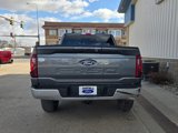 New 2025 Ford F150 XLT w/ Equipment Group 302A MID image 3