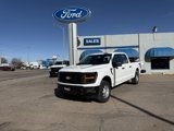 New 2025 Ford F150 XL image 2