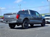 New 2025 Ford F150 Platinum image 3