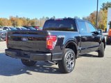 Certified 2024 Ford F150 STX image 3