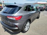 Used 2021 Ford Escape Titanium w/ Titanium Elite Package image 3