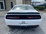 Used 2023 Dodge Challenger SXT w/ Plus Package image 6