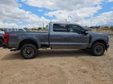 New 2025 Ford F250 Platinum image 4