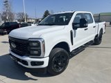 New 2025 Ford F250 4x4 Crew Cab Super Duty image 3