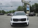 Used 2024 Kia Telluride SX Prestige X-Pro image 2