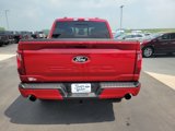 New 2025 Ford F150 XLT w/ Equipment Group 302A MID image 4
